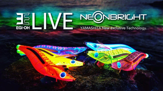 YAMASHITA Yamashita Egi OH LIVE 3.5 Squid Jig premium fishing tackle gear from Allways Angling