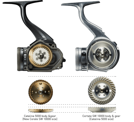 Daiwa 21 Daiwa Certate SW Spin Reel premium fishing tackle gear from Allways Angling