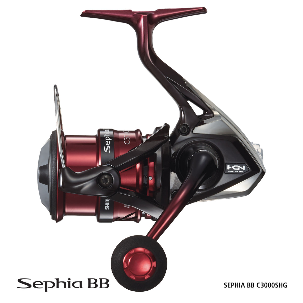 Shimano Sephia BB C3000SHG Spin Reel – Allways Angling