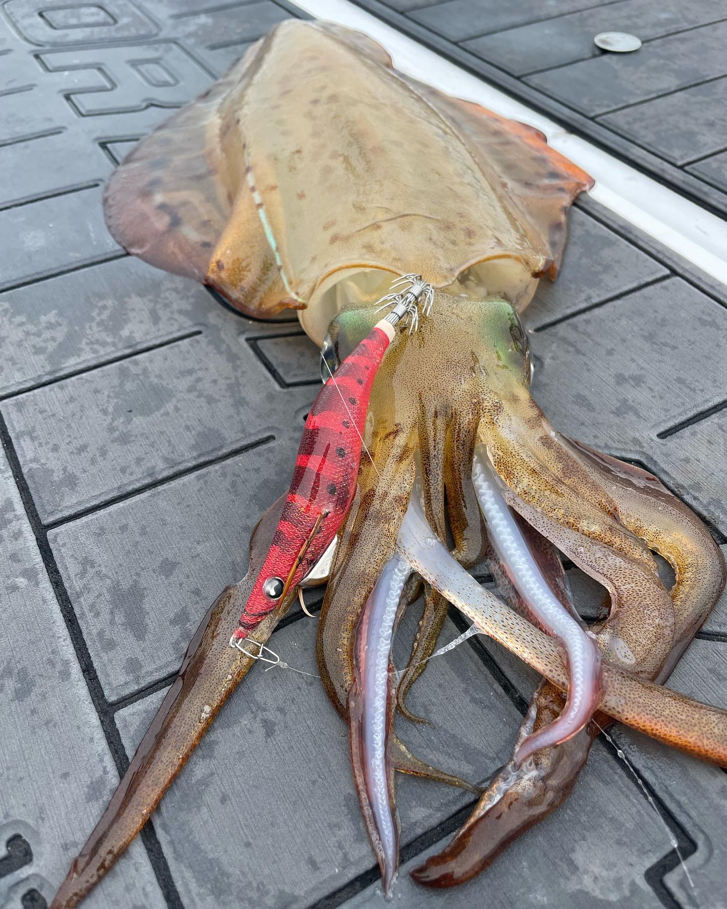 YAMASHITA Yamashita Egi Oh F 3.5 Squid Jig premium fishing tackle gear from Allways Angling