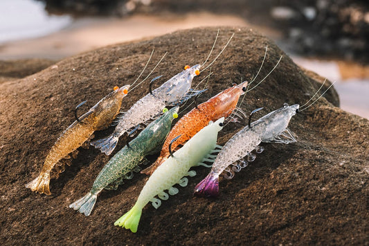 Berkley Berkley PowerBait CullShrimp premium fishing tackle gear from Allways Angling