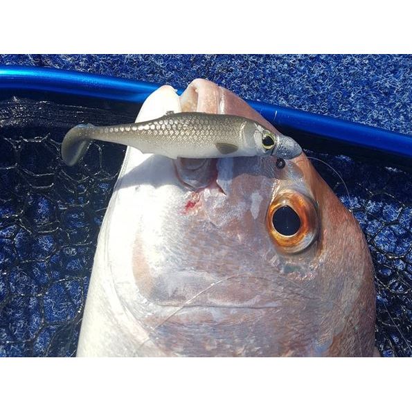 Biwaa Biwaa SubMission 3" Shad 5pk GOLDEN SHINER premium fishing tackle gear from Allways Angling