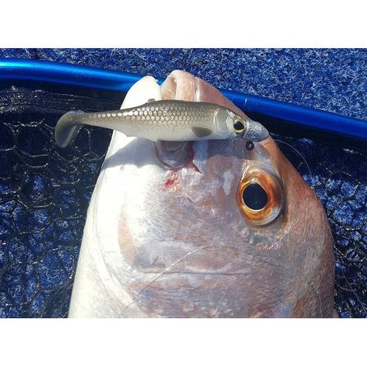 Biwaa Biwaa SubMission 3" Shad 5pk GOLDEN SHINER premium fishing tackle gear from Allways Angling