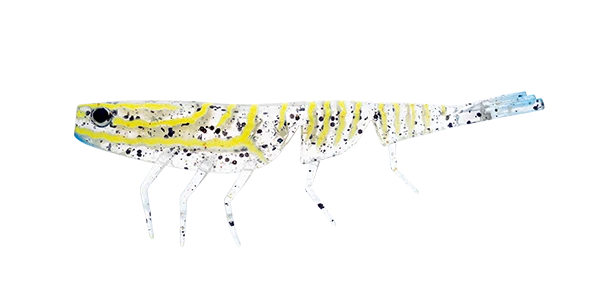 Bait Junkie 4" Prawn
