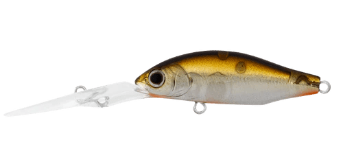 Daiwa Daiwa Infeet Spike 44EXDR LURE premium fishing tackle gear from Allways Angling