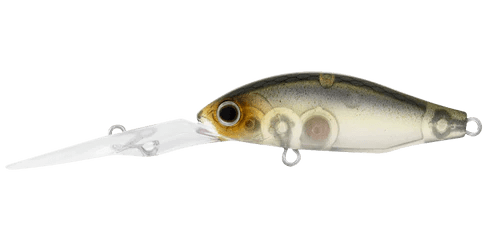 Daiwa Daiwa Infeet Spike 44EXDR LURE premium fishing tackle gear from Allways Angling