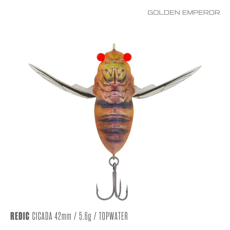 Samaki Redic Cicada 42mm