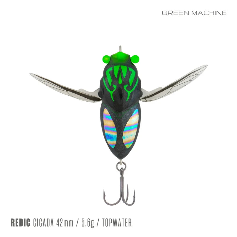 Samaki Redic Cicada 42mm