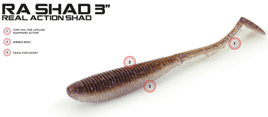 Molix MOLIX RA 3" Shad Soft Plastic 8pk premium fishing tackle gear from Allways Angling