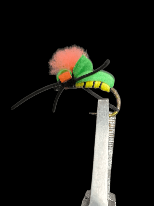 EJ Todd FOAM MICRO CICADA GREEN GROCER 2 premium fishing tackle gear from Allways Angling