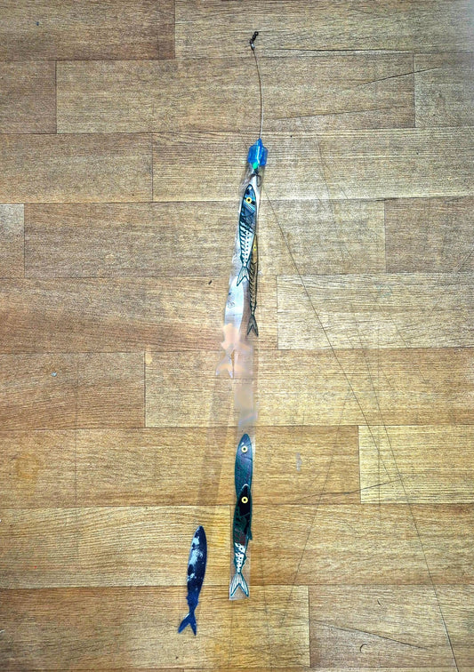 Strip teaser Strip Teaser Cone Strip Rigged premium fishing tackle gear from Allways Angling