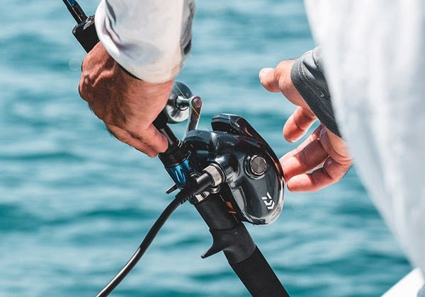 daiwa electric fishing reels australia DAIWA SEABORG ELECTRIC REEL