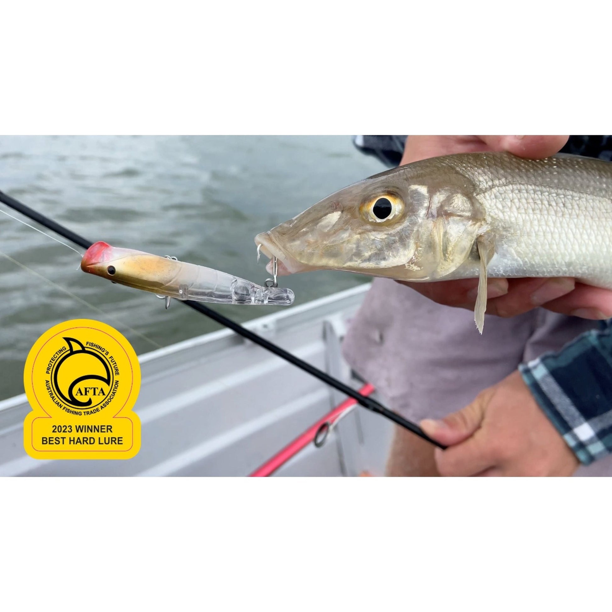 Bassday Bassday SugaPen Splash 75 Popper Lure premium fishing tackle gear from Allways Angling