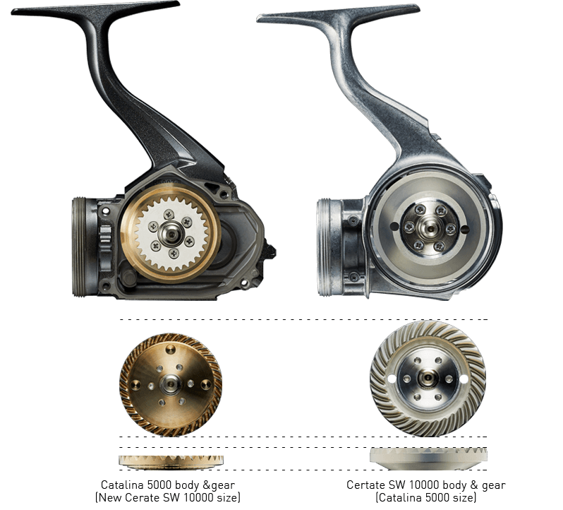 Daiwa 21 Daiwa Certate SW Spin Reel premium fishing tackle gear from Allways Angling