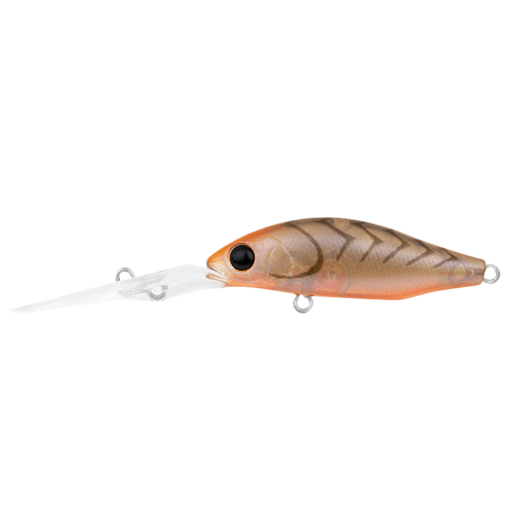 Daiwa Daiwa Infeet Spike 44EXDR LURE premium fishing tackle gear from Allways Angling