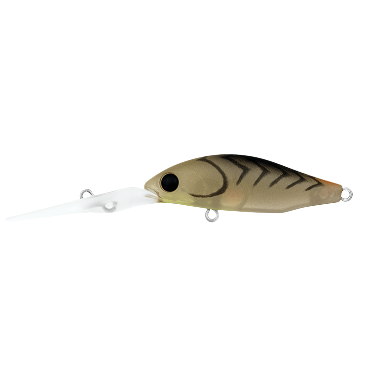 Daiwa Daiwa Infeet Spike 44EXDR LURE premium fishing tackle gear from Allways Angling
