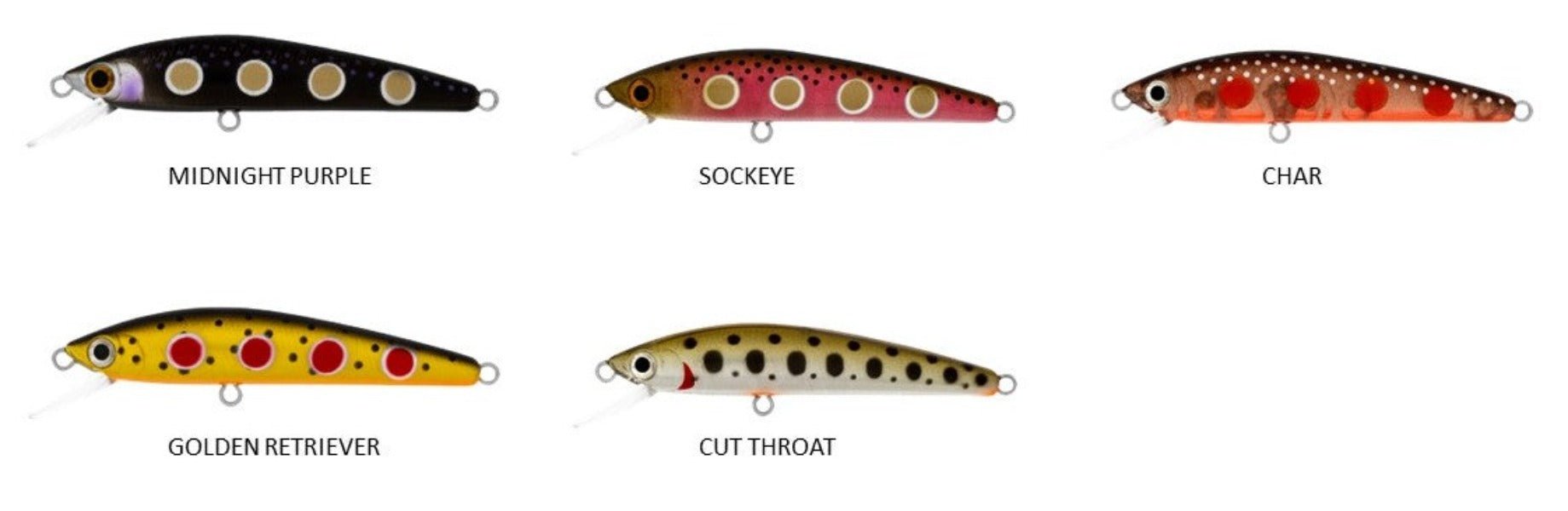 Daiwa DAIWA Presso Minnow 60F Trout Lure premium fishing tackle gear from Allways Angling