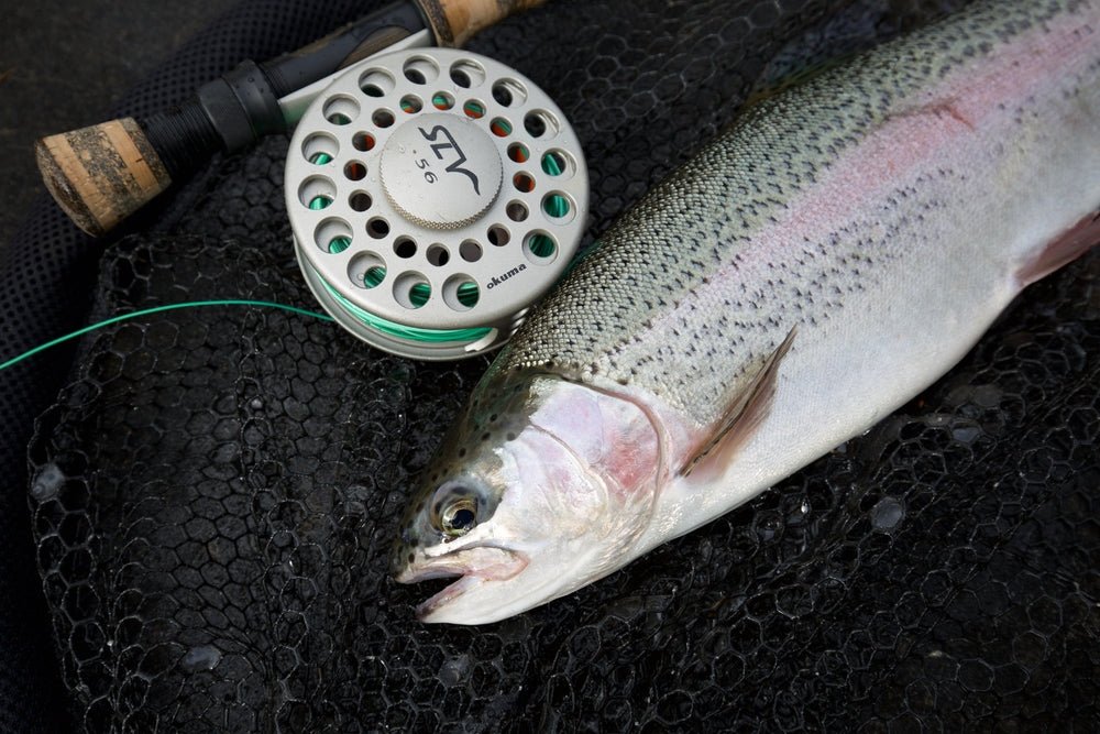 Okuma Okuma SLV Fly Reel 4/5 premium fishing tackle gear from Allways Angling