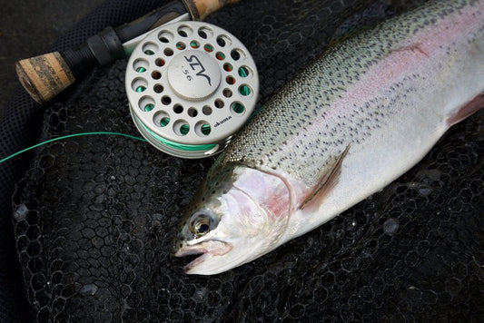 Okuma Okuma SLV Fly Reel 4/5 premium fishing tackle gear from Allways Angling